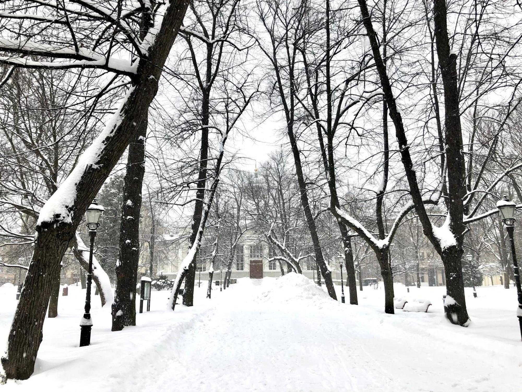 Scandinavian Home In Heard City ヘルシンキ エクステリア 写真