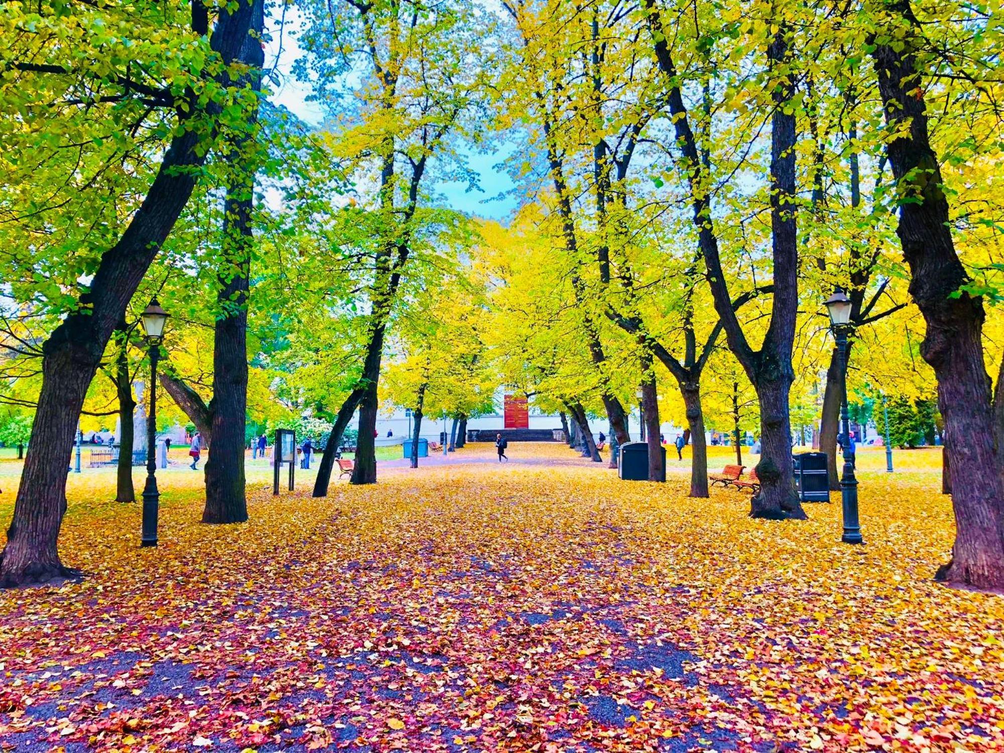 Scandinavian Home In Heard City ヘルシンキ エクステリア 写真